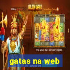 gatas na web